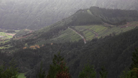 Steep-hillstation-Azores-estates-Sao-Miguel-island-Portugal