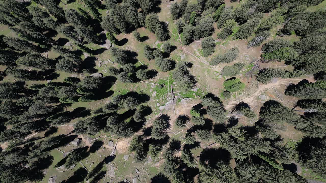 Top down Drone Aerial over Lush forests in Hindu Kush mountains in Sangar Valley, Afghanistan