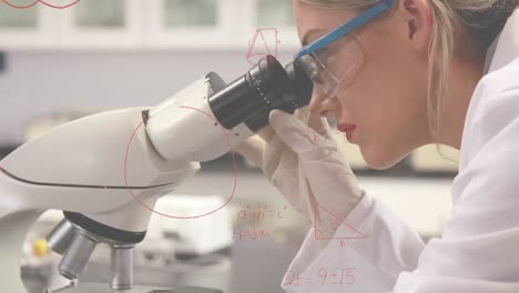 scientist using the microscope