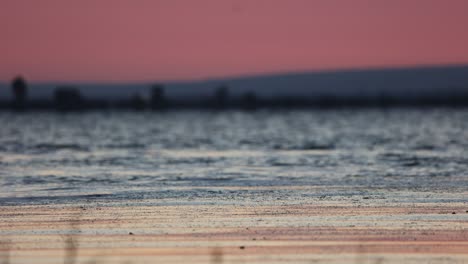 tranquil lake with rippling water during sunrise. defocus