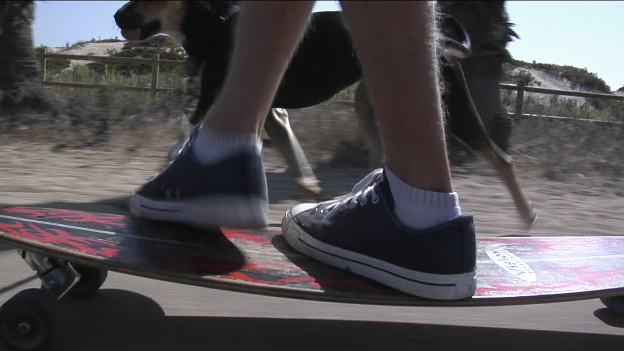 가죽 끈에 개를 안고 스케이트 보드를 타는 청년