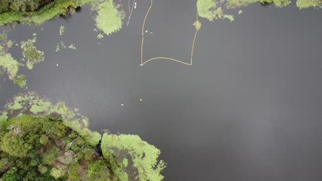 drone ascending over lake with a safe swimming spot and safety net