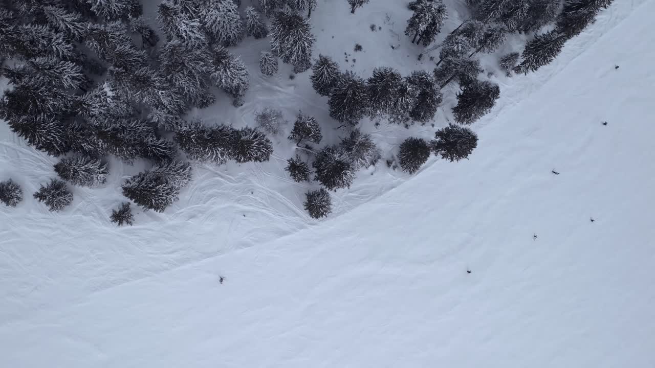 imágenes de 4k, vista aérea superior de drones esquiando en una pista de esquí en una nieve fresca