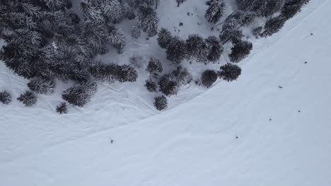 4k-Aufnahmen,-Top-Drohne-Aus-Der-Vogelperspektive-Skifahrer-Beim-Skifahren-Auf-Einer-Skipiste-Im-Neuschnee