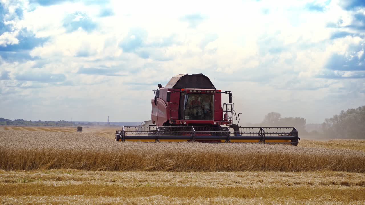 Modern combine cutting wheat blades. Process of gathering wheat crop in the field. Agricultural works in the countryside on the golden farmland.