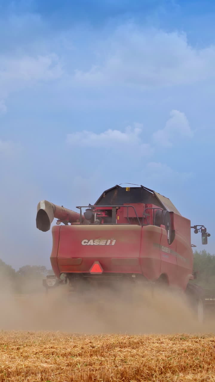 Agricultural harvesting machine work in field. Big harvester on yellow land. Vertical video