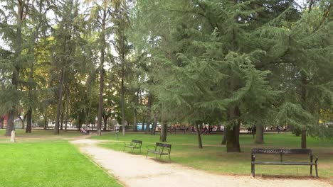 Herbstlicher-Stadtpark.-Die-Plantage,-Ponferrada