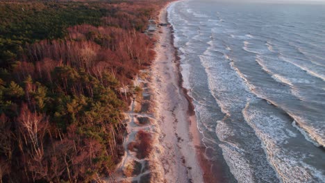 Große-Wellen-Mit-Weißen-Kämmen-Rollen-An-Einem-Sandstrand-Entlang,-Der-Von-Einem-Dichten-Wald-Begrenzt-Wird,-Der-Vom-Licht-Der-Untergehenden-Sonne-In-Litauen-Beleuchtet-Wird