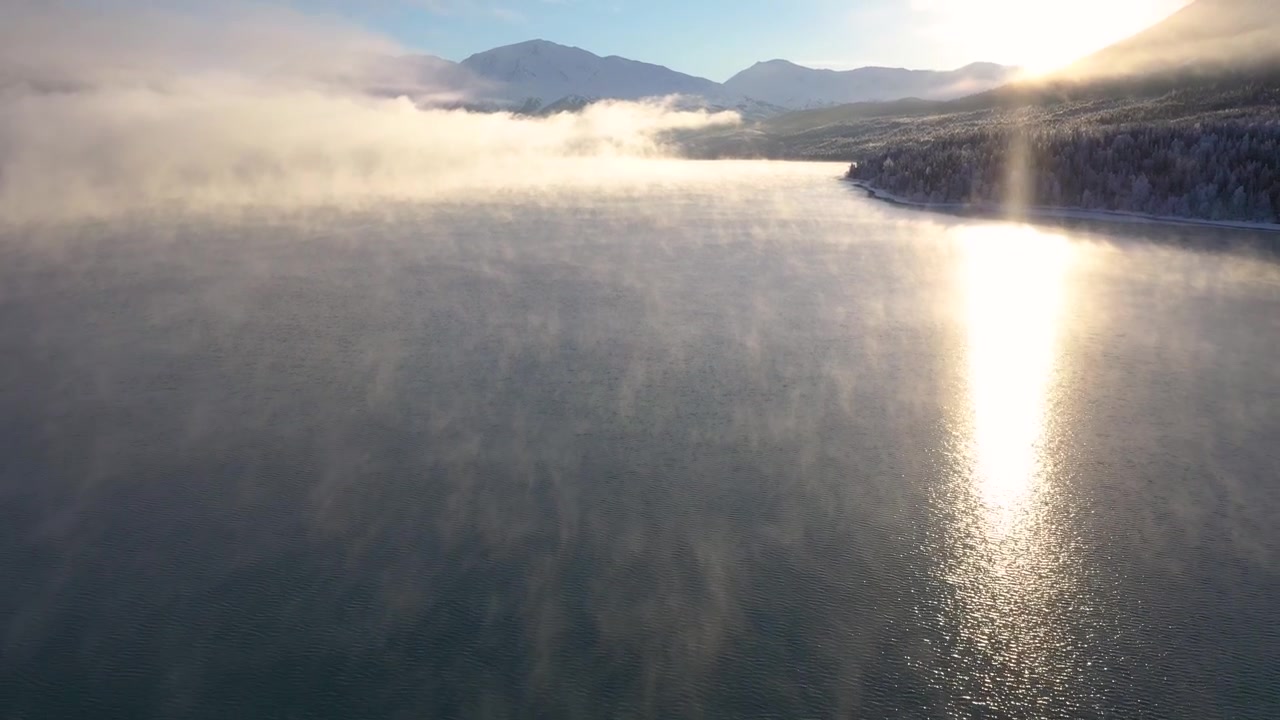 Droneoptagelse af dampkyer, der hviler på Kenai-søen, med solen der oplyser dampkyerne og vandet, i Cooper Landing, Alaska