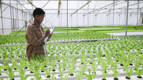 Greenhouse,-nursery-and-woman-in-garden