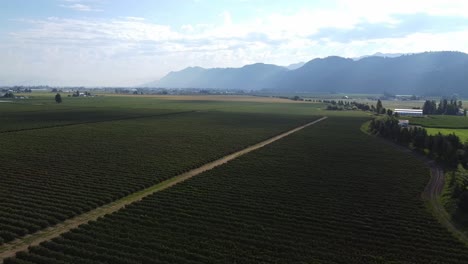 Aerial-View-ofFarms-and-Fields-at-the-Edge-of-the-Cascade-Mountain,-Sumas,-WA