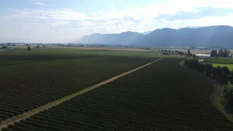 Vista-Aérea-De-Granjas-Y-Campos-En-El-Borde-De-La-Montaña-En-Cascada,-Sumas,-Wa