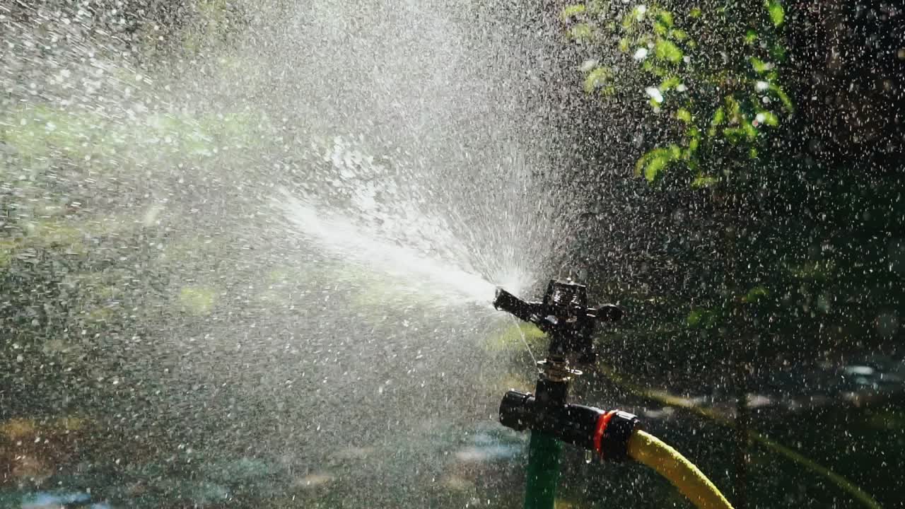 Device of irrigation garden. Irrigation of the green grass with sprinkler system