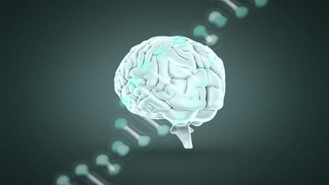 animación de cerebro digital y cadena de adn en fondo gris