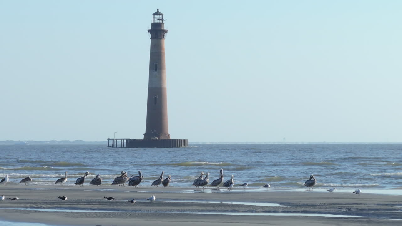 Lighthouse on the Beach with Birds