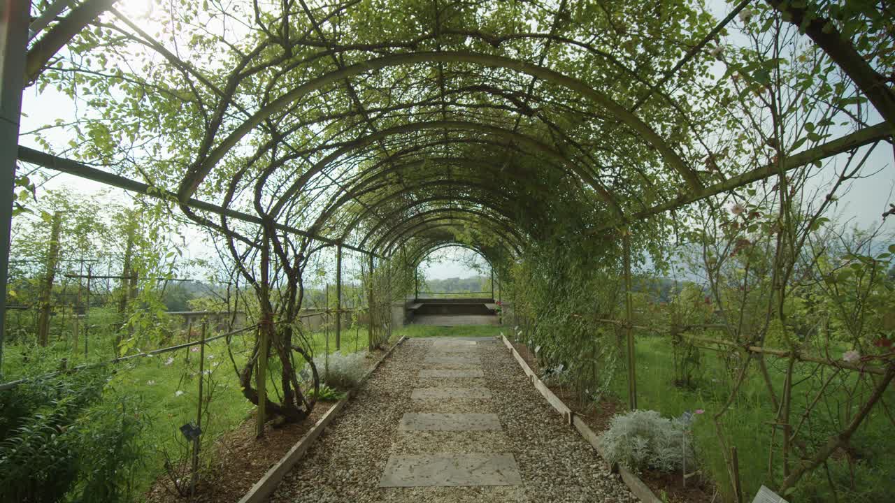movimiento suave en un hermoso arco verde al aire libre con rosas hasta el final, italia.