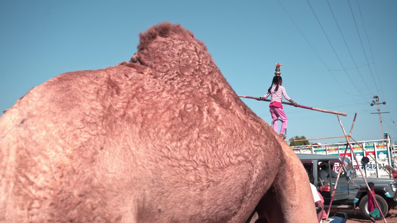 Camera walking through the chaos of pushkar fair held in in india