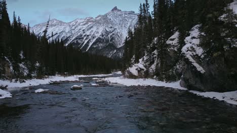 creek in mountain forest  downstream winter