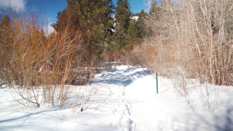 tiro pov de trekking en invierno a una montaña o colina cubierta de nieve