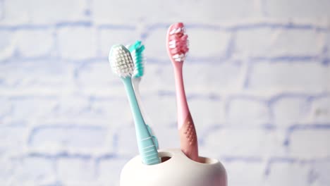 person hand placing toothbrush in holder