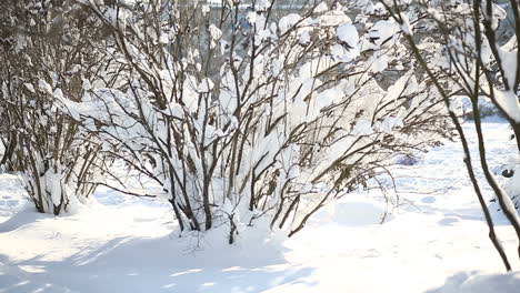 mother and child in winter day. mother and son enjoying beautiful winter day outdoors