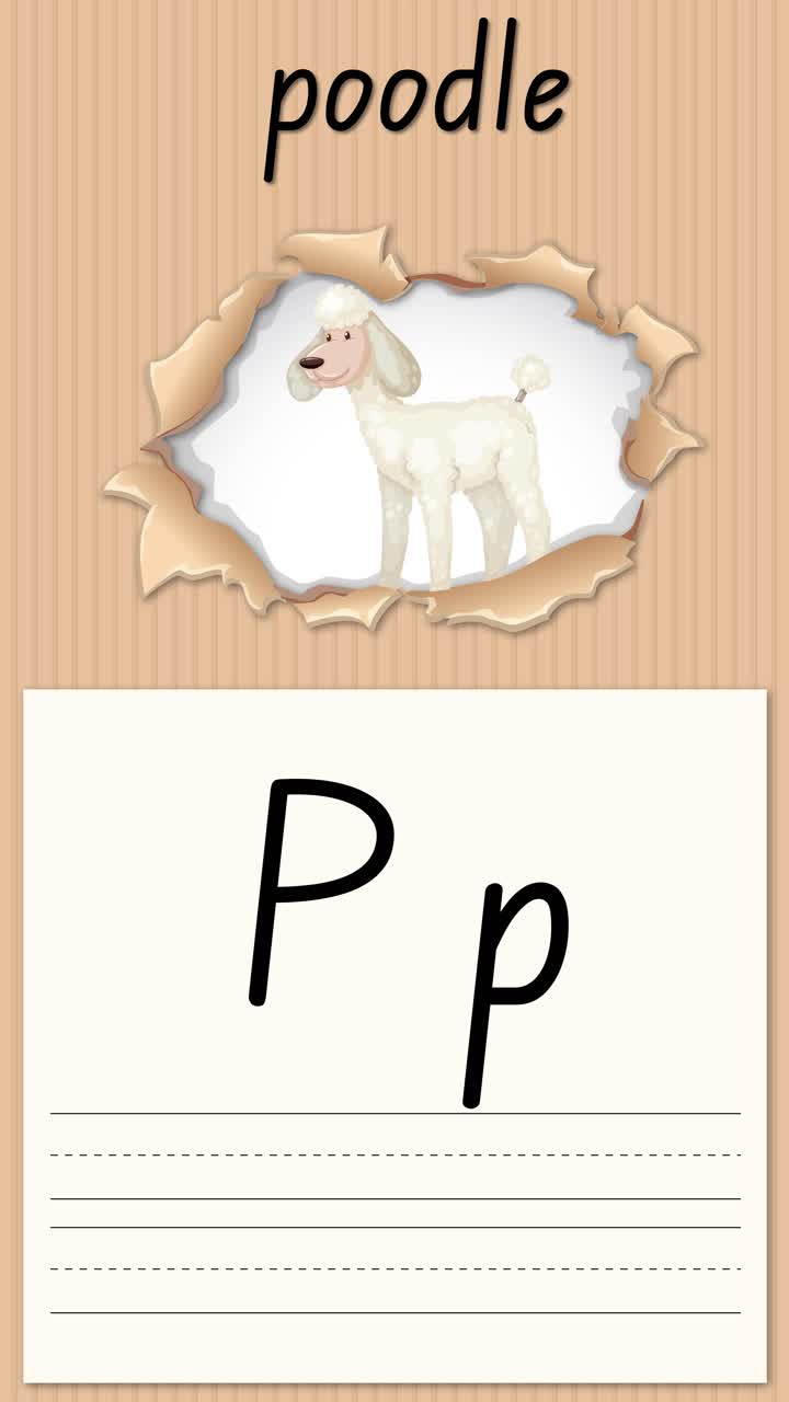 Una grafica educativa animata insegna la lettera P utilizzando un'illustrazione di un barboncino e linee per la pratica della scrittura a mano.