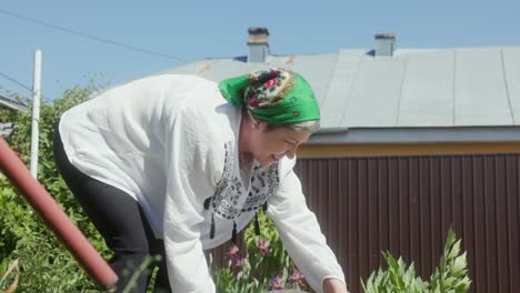 Mujer-Rumana-Regando-Plantas-En-El-Jardín---Cerrar