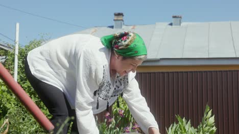 mujer rumana regando plantas en el jardín - de cerca