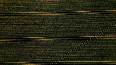 vista aérea de un avión no tripulado a vista de pájaro sobre