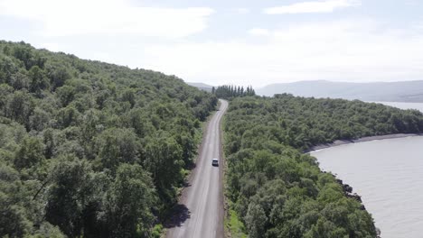 Conducción-De-Automóviles-En-La-Carretera-Que-Pasa-Por-El-Bosque-De-Abedules-En-Islandia,-Luz-Solar-Brillante