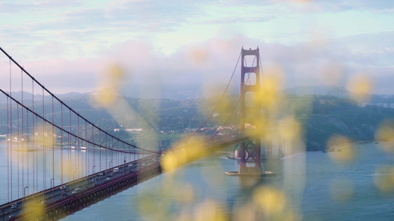 Håndholdt bilde av Golden Gate Bridge med gule, skitne blomster i forgrunnen