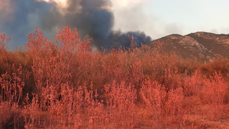 Dark-smoke-rises-from-hilly-landscape-with-dry-plants-in-foreground