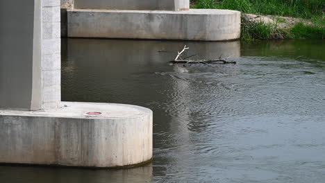 river water flowing close up