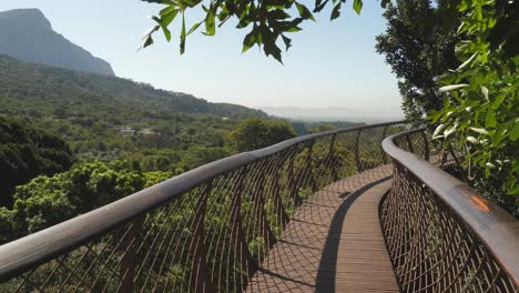 Vista-Imponente-De-La-Montaña-De-La-Mesa-Desde-La-Pasarela-De-Las-Copas-De-Los-árboles,-Ciudad-Del-Cabo