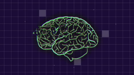 animación de la cuadrícula y procesamiento de datos sobre el giro del cerebro