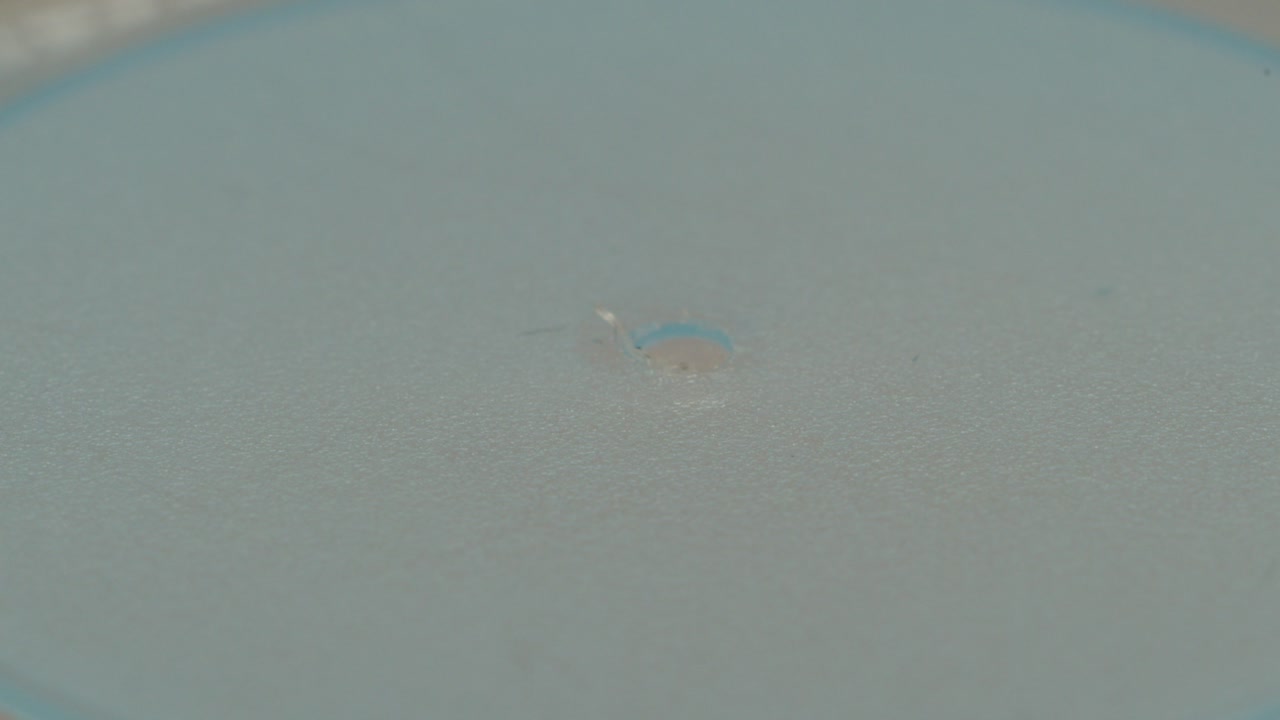 Macro shot of tree bark with deep texture and earthy tones, highlighting organic patterns and natural depth
