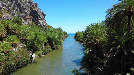 Ein-Wunderschöner-Fluss,-An-Dem-Viele-Palmen-Wachsen