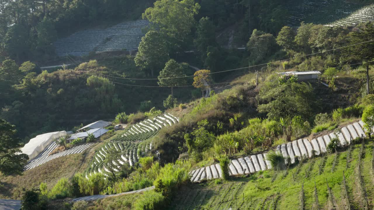 paisaje de tierras de cultivo en la zona montañosa de honduras