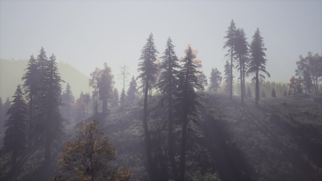 프랑스 알프스 산맥 의 꼭대기