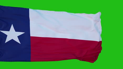 flag of texas on green screen. perfect for your own background using green screen. 3d rendering