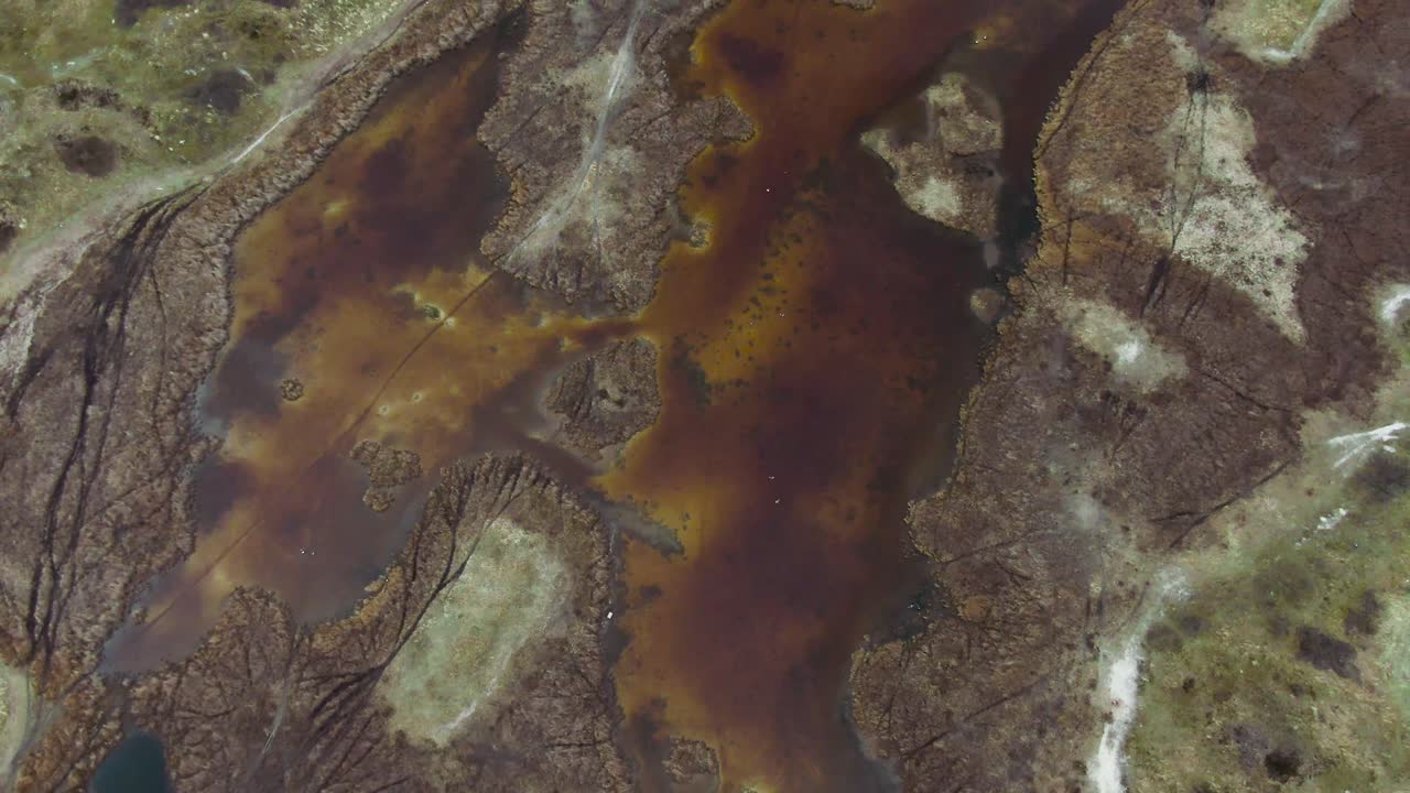 marismas en prados salados en el campo del norte de holanda, los países bajos cerca de las islas texel