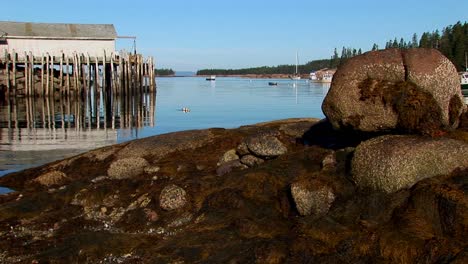 En-Un-Pueblo-De-Langostas-En-Stonington-Maine,-Un-Edificio-Está-Sobre-El-Agua,-Visto-Desde-Una-Orilla-Rocosa