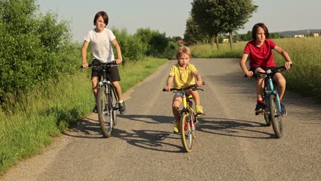 niños lindos y felices, hermanos, montando bicicletas en el parque en un soleado día de verano, hablando y riendo