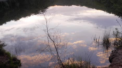 calm lake with reflections of blue sky, clouds, and surrounding vegetation in naree budjong djara national park, north stradbroke island, queensland, australia - tilt up shot