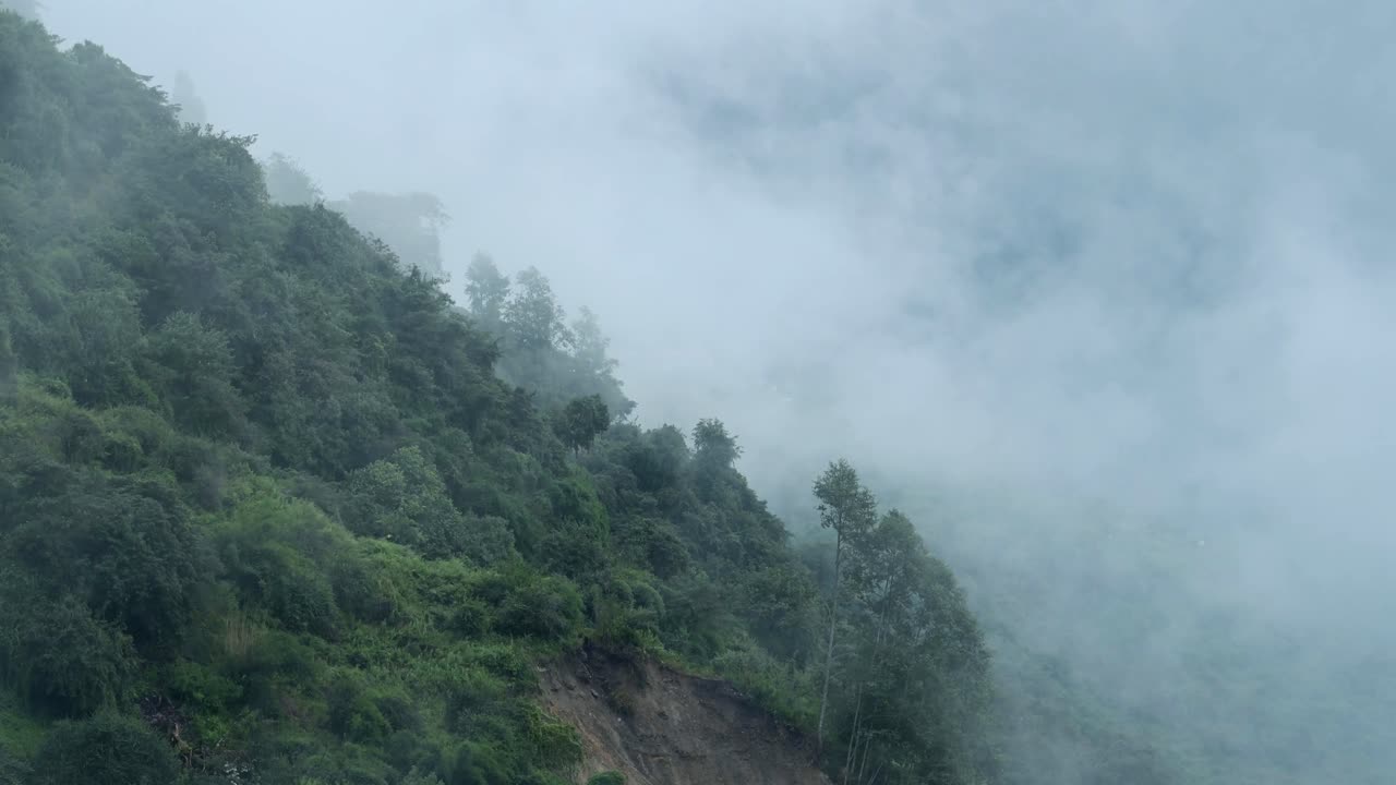 Forest in Mountains and Low Lying Clouds, Nepal Nature Shot of Himalayas Mountains with Trees and Layers of Low Lying Clouds and Mist Rolling Over Treetops