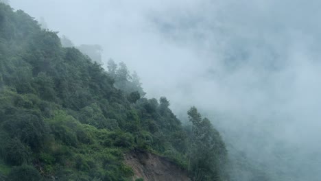 forest in mountains and low lying clouds, nepal nature shot of himalayas mountains with trees and layers of low lying clouds and mist rolling over treetops