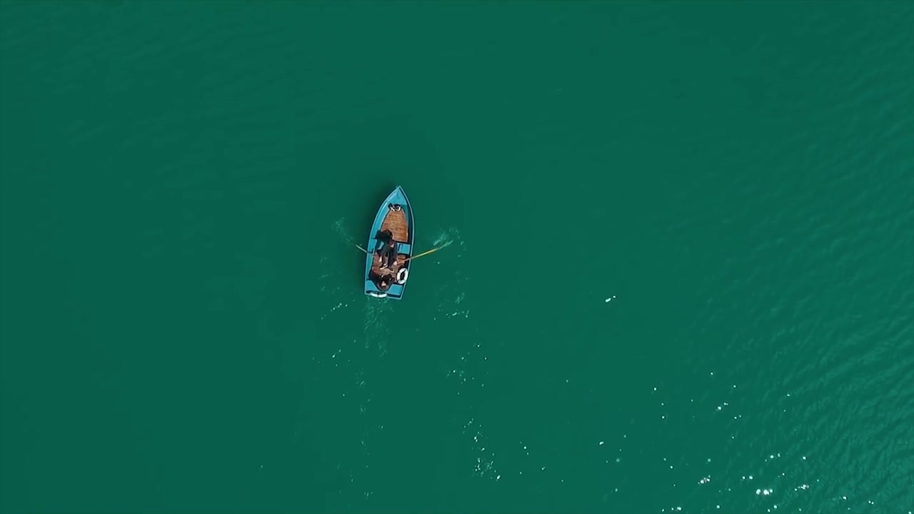 Person Rowing a Boat on a Calm Lake