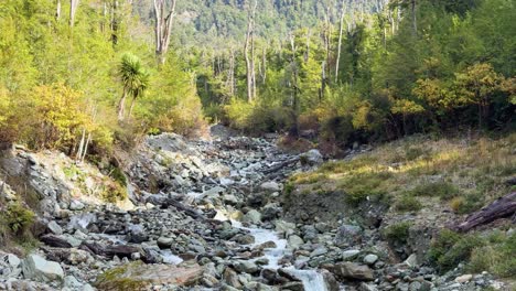 a steady glacial stream winds through a rocky riverbed surrounded by lush temperate forest in soft daylight, captured with a stable, wide-angle shot