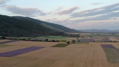 Sunset-flight-over-armoatic-lavender-fields-in-Bulgaria's-Kazanlak-valley