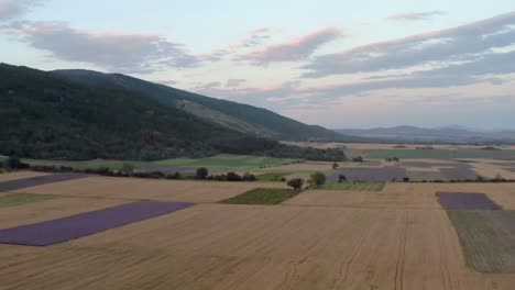 sunset flight over armoatic lavender fields in bulgaria's kazanlak valley